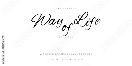 Handwriting script brush font alphabet signature Font Calligraphy Logotype Script Brush Font Type Font lettering for wedding 