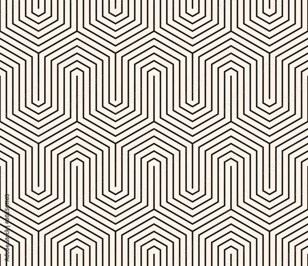 Modern vector geometric seamless pattern with thin lines, hexagon grid, quirky stripes. Black and white abstract background. Simple minimal monochrome linear texture. Repeated design for print, decor Modern vector geometric seamless pattern with thin lines, hexagon grid, quirky stripes. Black and white abstract background. Simple minimal monochrome linear texture. Repeated design for print, decor