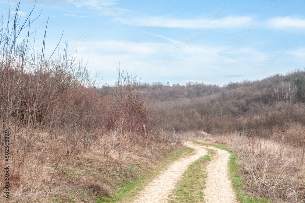 Panorama of a dirt path, an old trail and rural walkway, by a forest near barajevo, serbia, under a grey sky in winter, in the serbian countryside. Panorama of a dirt path, an old trail and rural walkway, by a forest near barajevo, serbia, under a grey sky in winter, in the serbian countryside.