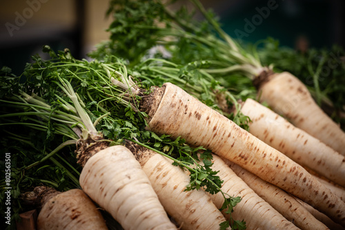 Selective blur on parsnip roots for sale on a serbian market in Belgrade. Parsnip, or pastinaca sativa, is a white vegetable root close to parsley, typical from balkans cuisine.