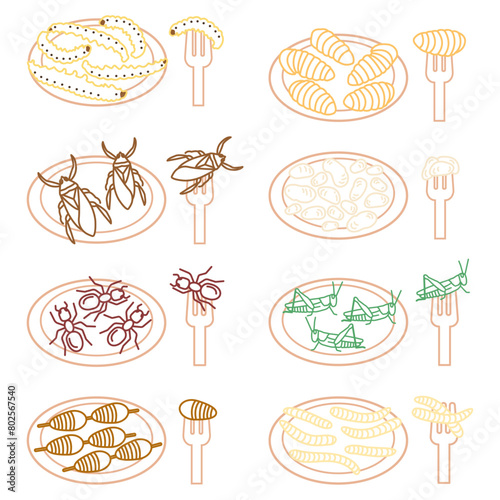 A set of linear images of edible insects in color