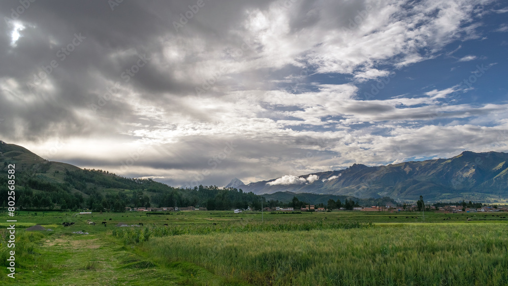 Fototapeta premium Campo verde con cielo lleno de nubes