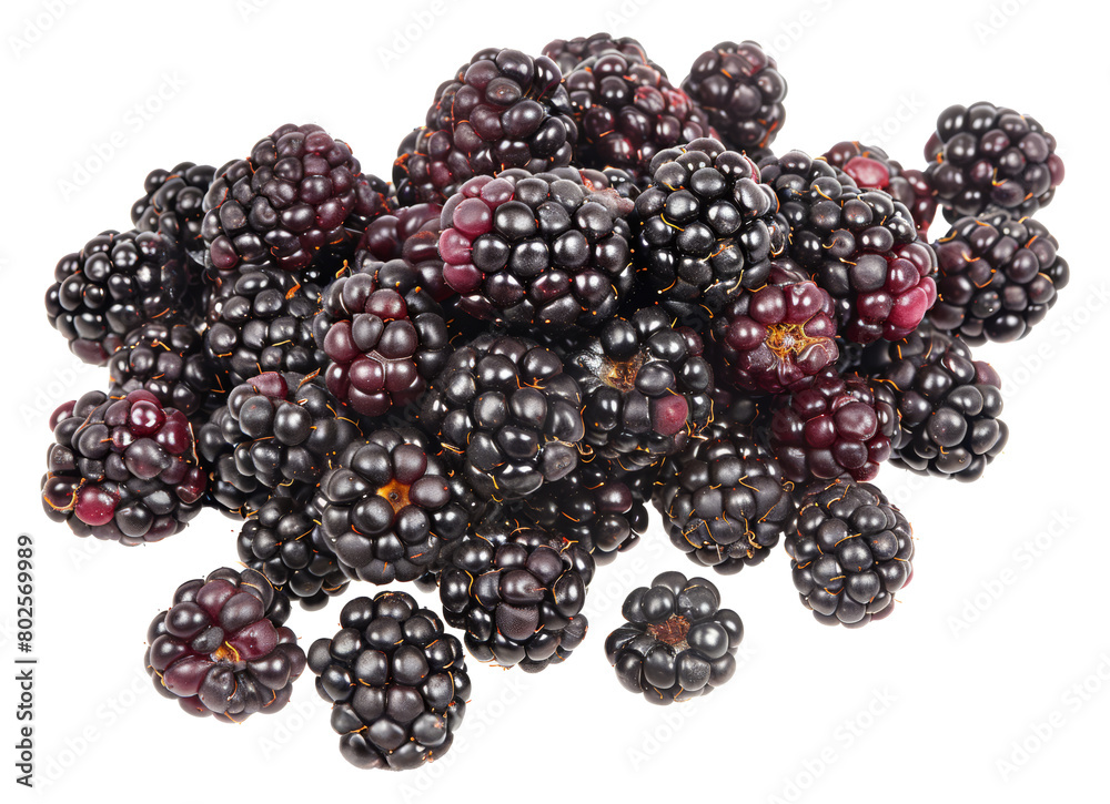 Fresh blackberries cluster isolated on transparent background Fresh blackberries cluster isolated on transparent background