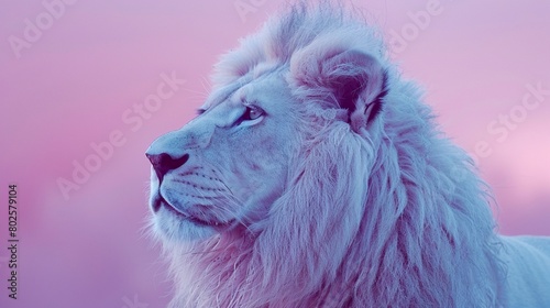 A portrait of a lion in soft lavender pastels, with a mane in light pastel blue 8K , high-resolution, ultra HD,up32K HD