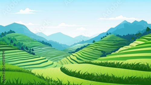 Serene cartoon illustration of terraced rice fields with a backdrop of rolling hills under a clear sky