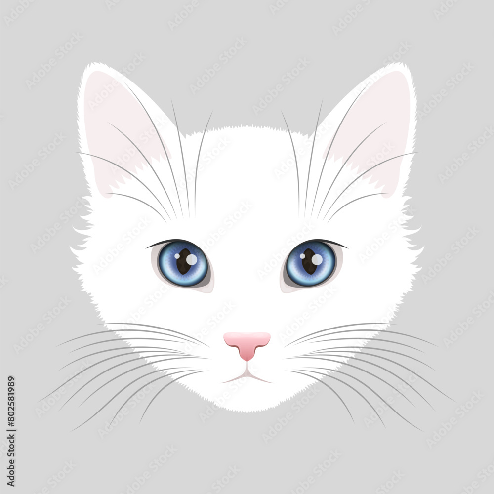 White cat face with bright blue eyes and big vibrissae