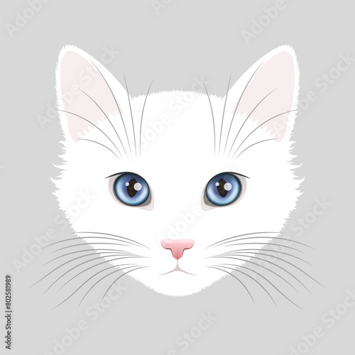 White cat face with bright blue eyes and big vibrissae