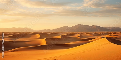 Stunning desert landscape at sunset