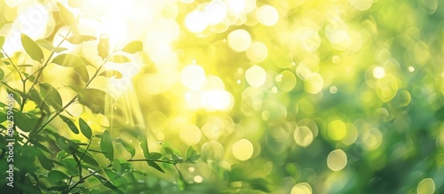 Sun rays create a natural bokeh effect outdoors in shades of green and yellow.