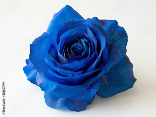 Blue rose for you.