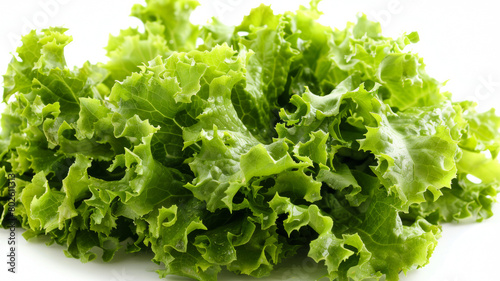 A bunch of green lettuce is on a white background
