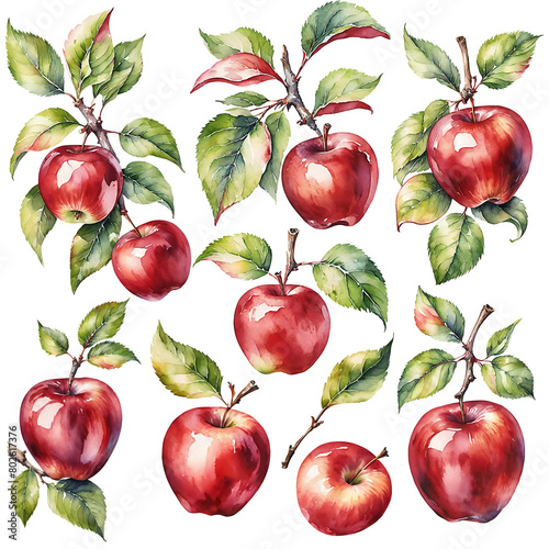 A variety of red apples, each attached to branches with lush green leaves, are meticulously rendered in watercolor.