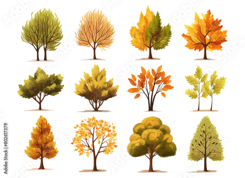 Watercolor hand drawn set with illustration of autumn colorful deciduous trees isolated on white background. Collection of red, yellow, orange autumn season trees in summer day