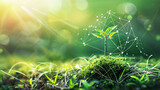 Sustainability Transformation: Harnessing Cloud Services and New Technologies