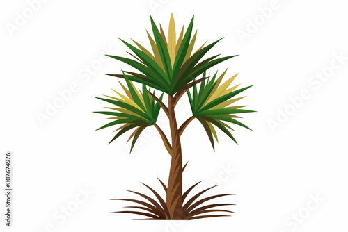 palm tree isolated vector art illustration