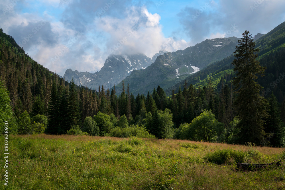 View of Kosygin's glade (Buulu Tala) in the Gonachkhir gorge and the top of Dombai-Ulgen mountain near Dombai ski resort on a sunny summer day, Karachay-Cherkessia, Russia