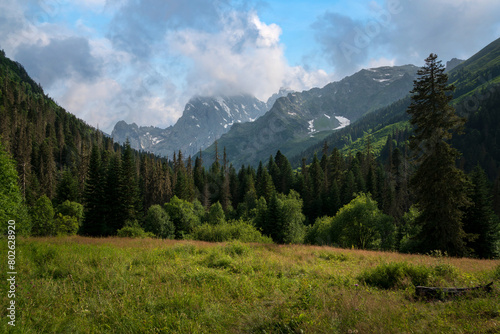 View of Kosygin's glade (Buulu Tala) in the Gonachkhir gorge and the top of Dombai-Ulgen mountain near Dombai ski resort on a sunny summer day, Karachay-Cherkessia, Russia
