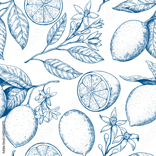 Lemon branches with fruits and flowers drawing in retro engrawing style. Vector illustration.