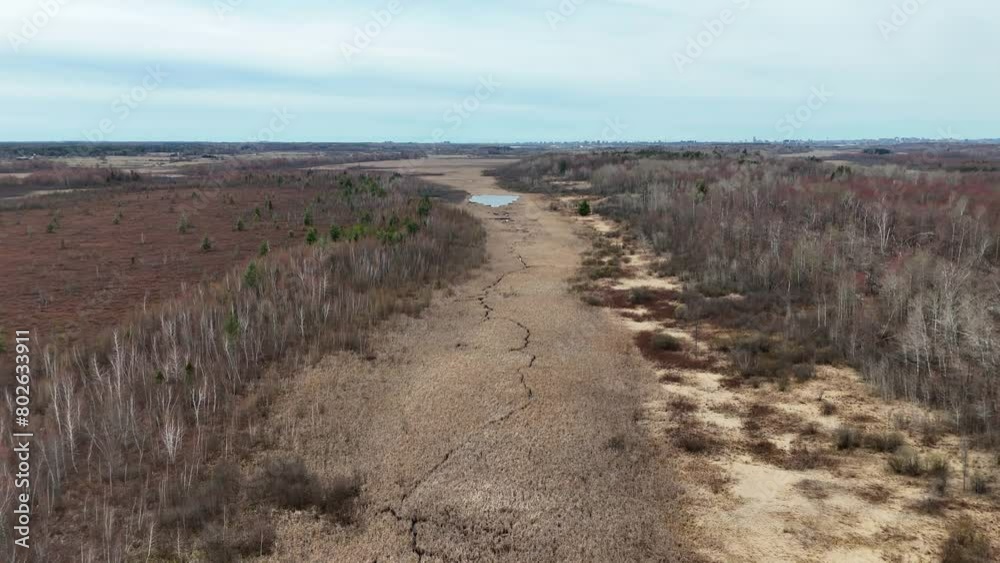 Famous Park near Ottawa called Mer Bleue Bog with swamps and muddy areas beautiful nature of Canada - travel photography by drone Famous Park near Ottawa called Mer Bleue Bog with swamps and muddy areas beautiful nature of Canada - travel photography by drone