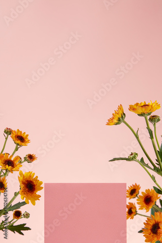 A podium in pink color with blank space decorated with some branches of beautiful Calendula flowers. Pedestal or platform for beauty products presentation