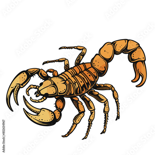 close-up photo of a scorpion on a white background
