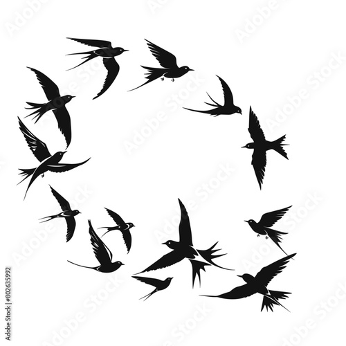 flock of birds flying in a tight circle