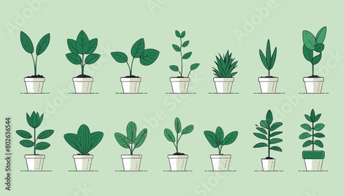 Urban Oasis: A Detailed Vector Icon of Minimalist Green Plant Illustrations in Modern Flat Style