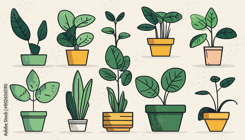 Serene Simplicity: A Minimalist Doodle of Green Plant Illustrations