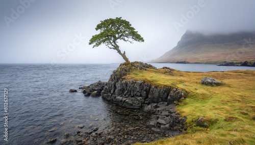 Scottish Mist Mystery: A High-Resolution Photograph of a Lone Tree Shrouded in Fog  photo