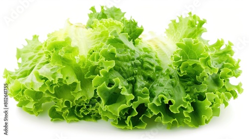 Close-up fresh green lettuce leaves isolated on a white background. Salad, diet, healthy vegetables concept.