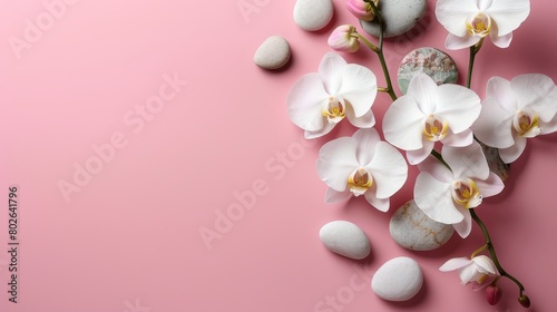 White Orchid and Stones on Pink Background