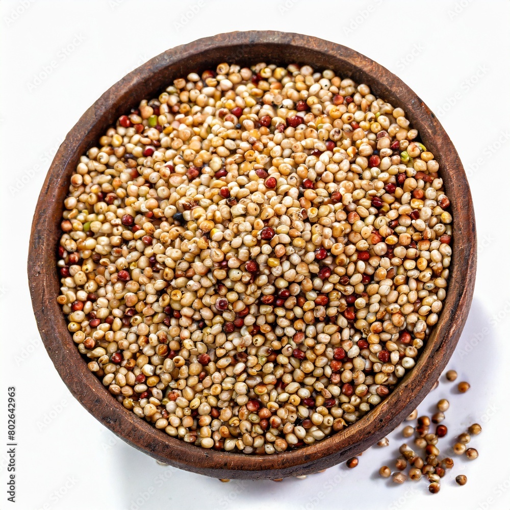 Sorghum Seeds