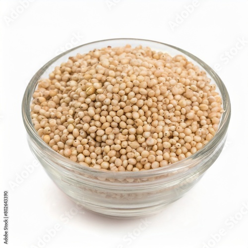 Sorghum Seeds