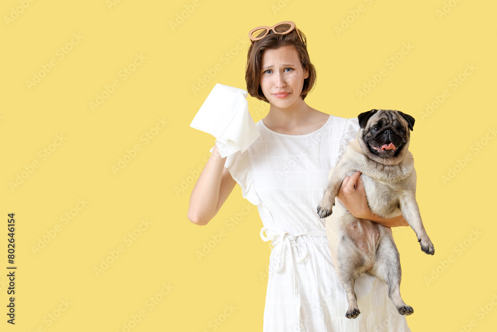 Allergic young woman with cute pug dog on yellow background Allergic young woman with cute pug dog on yellow background