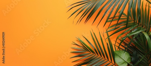 Tropical palm tree leaf against a vibrant orange backdrop, with room for text.