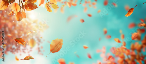 Autumn background with copy space, featuring yellow maple leaves against a blue sky backdrop. © PHTASH