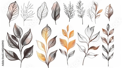 A sketchbook page filled with a variety of leaf arrangements each one uniquely stylized and carefully p to create a dynamic and visually interesting page..