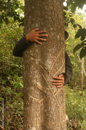 hugging a tree trunk lovingly in a tropical forest. Jungle green natural background. Concept of people loving nature and protecting nature