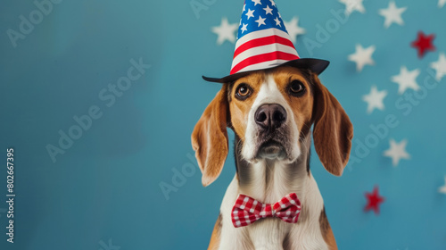 Patriotic Beagle wearing American flag hat and bow tie © woret