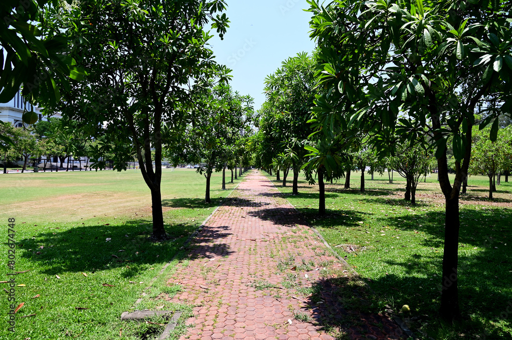 Garden walkways covered with stone slabs, nature background in the park at Thailand.
