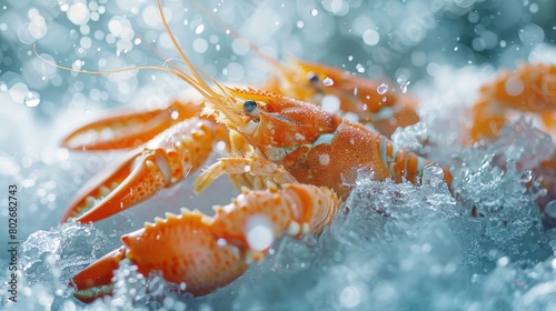 the flash-freezing process of seafood products, locking in natural freshness for export
