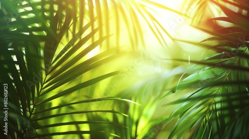 Sunlight peeks through vibrant green palm leaves  creating a pattern of light and shadow.