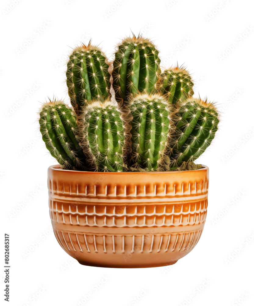 Majestic Saguaro cactus stands tall, against a transparent background. Generative AI
