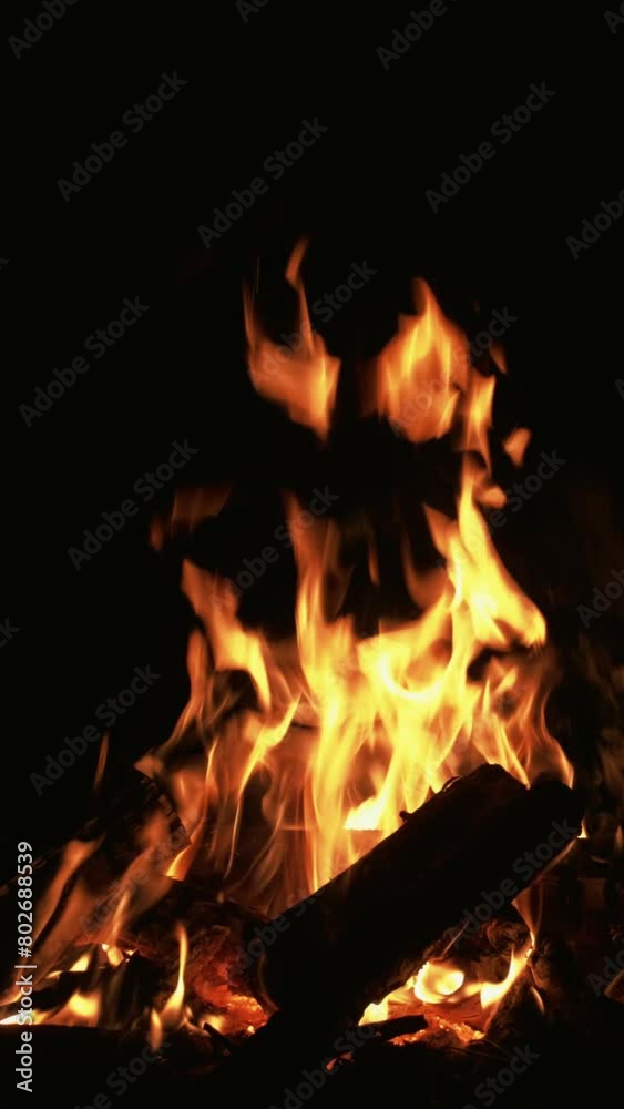 Vertical video. Campfire on black. Fire flame. Glowing charcoal. Yellow color burning wood logs at night on dark warm atmosphere background.