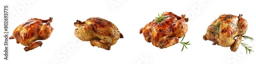 Set of Roasted grilled turkey chicken drumstick thigh on transparent background cutout, PNG file. Mockup template for artwork design. perspective positions many different angle, side frontal top view