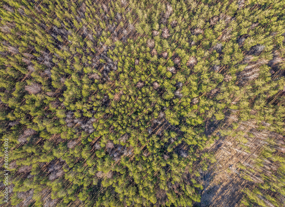 Aerial drone view of stunning colorful autumn fall forest. Aerial drone view of stunning colorful autumn fall forest.