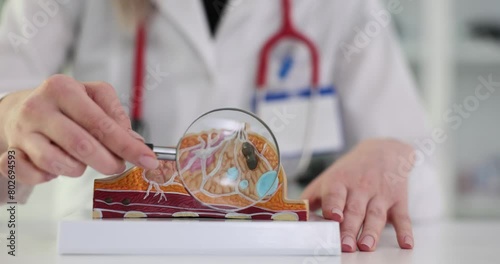 Doctor with breast anatomy model and magnifying glass in clinic
