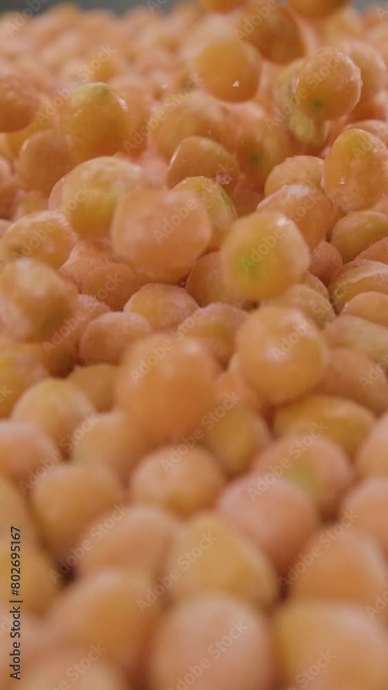 Stored frozen chunks of preserved carrot splurging Stored frozen chunks of preserved carrot splurging
