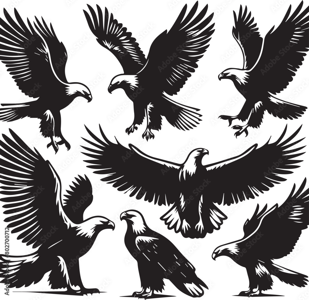Obraz premium Eagle silhouette set. Eagle illustration