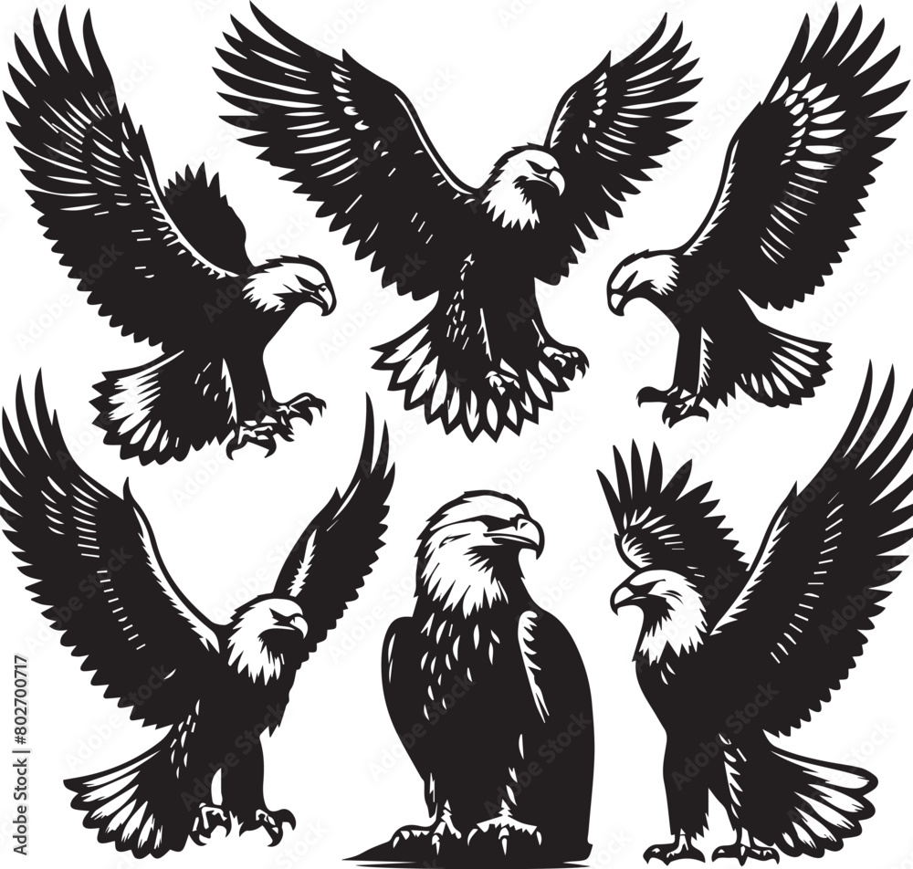 Eagle silhouette set. Eagle illustration Eagle silhouette set. Eagle illustration